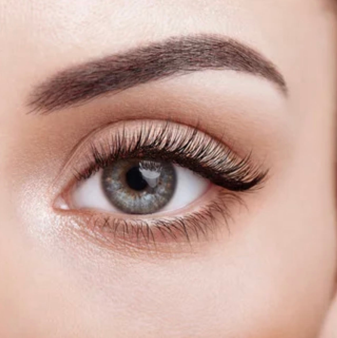 DIY NB LASH EXTENSION KIT CLASSIC & HYBRID