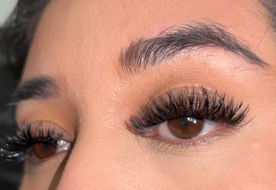 DIY NB LASH EXTENSION KIT VOLUME & MEGA VOLUME